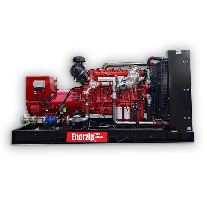 Enerzip D Series - Natural Gas Generator Sets open frame genset generator with heavy-duty skid base, industrial alternator, and SmartGen/DSE control for commercial standby power